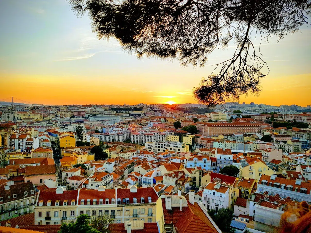 Graça on Foot for Lisbon's Highest Views, Gardens and Lunch
