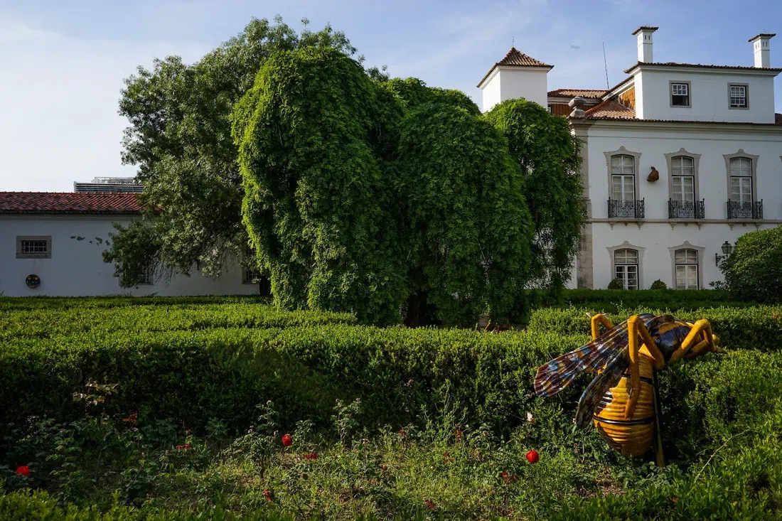 Museu de Lisboa — Palácio Pimenta, Lisbon
