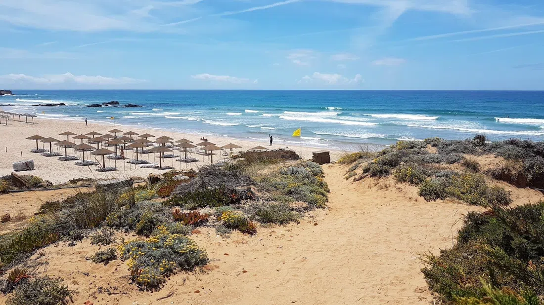 Moana Surf School, Lisbon