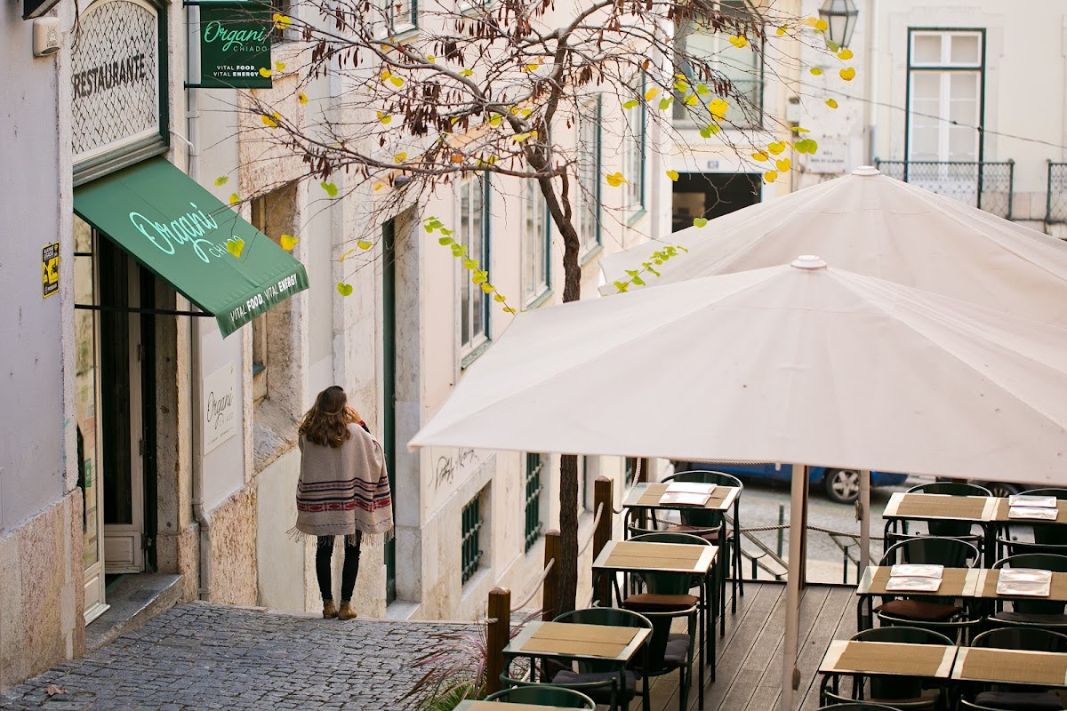 Organi Chiado, Lisbon